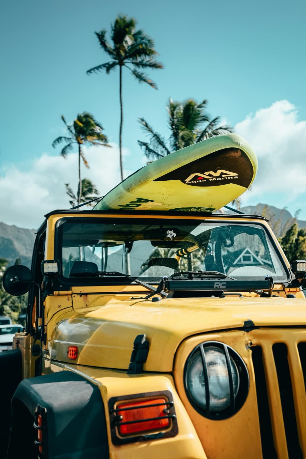 Do You Need a Jeep in Aruba?