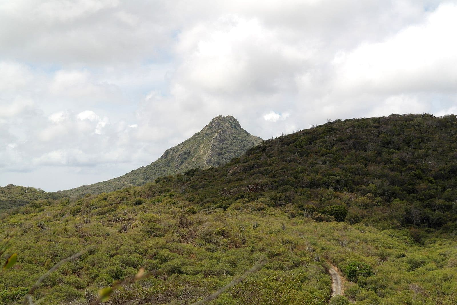 Best Scenic Drives in Curacao